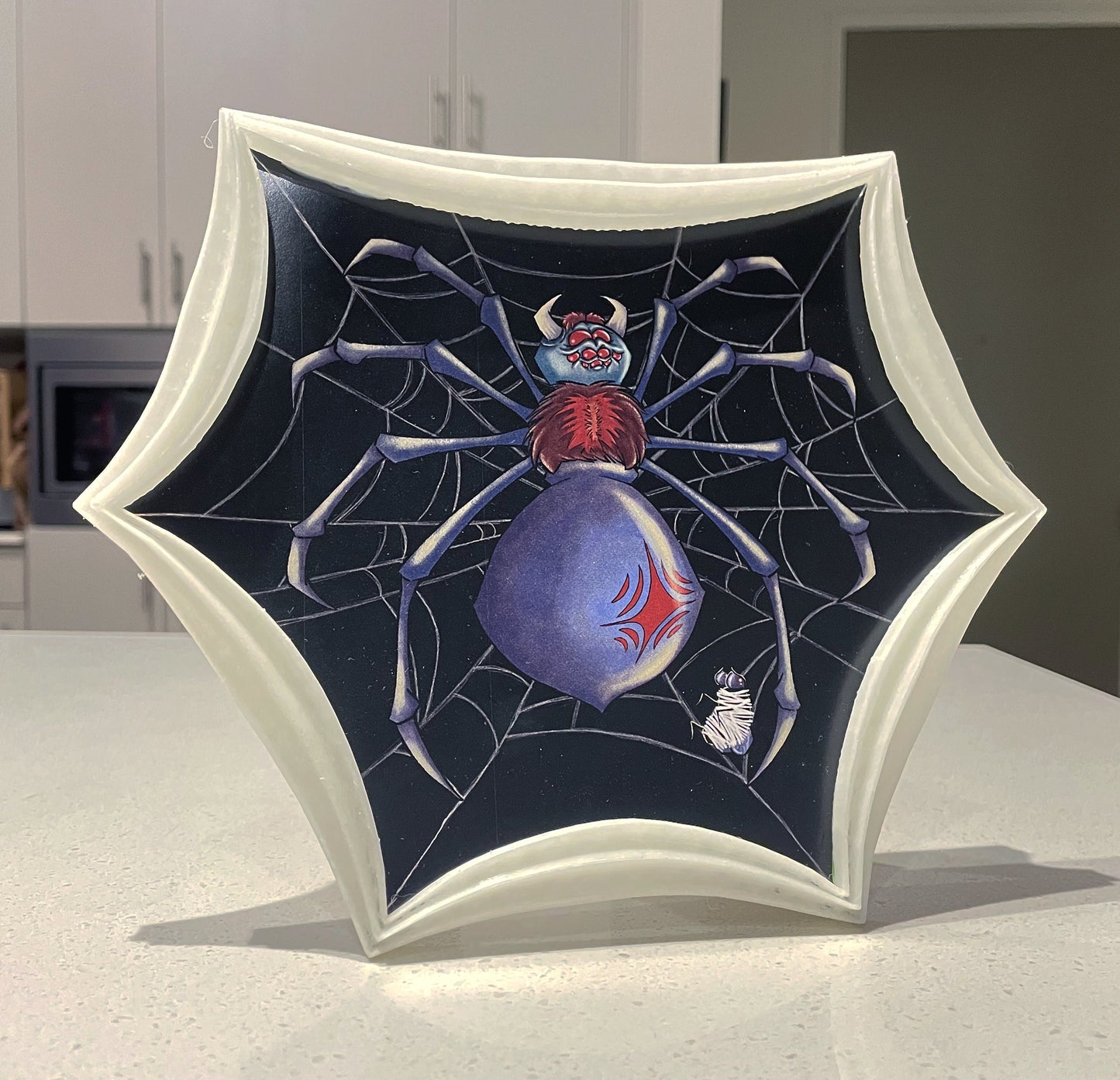 Illustrated Spider in a custom designed, GLOW IN THE DARK, 3D printed frame.